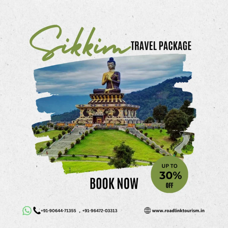 best travel agency in siliguri road link tourism 768x768