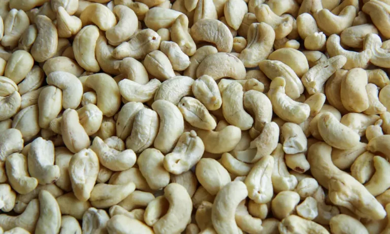 Cashew Nuts 768x461