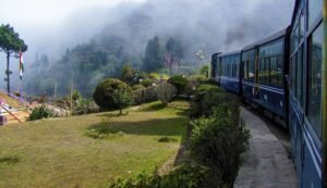 travel agency in Siliguri for Darjeeling tour — TravellEasy holiday packages