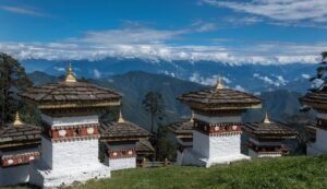 Family tour packages from Siliguri — Dooars wildlife holiday with TravellEasy