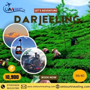 Best travel agency for Darjeeling tour tea garden visit