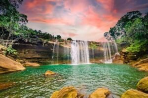 Best travel agency for Meghalaya tour living root bridge