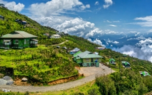Darjeeling tea garden landscape — Alt Text: Best travel agency in Bagdogra for Darjeeling tour packages